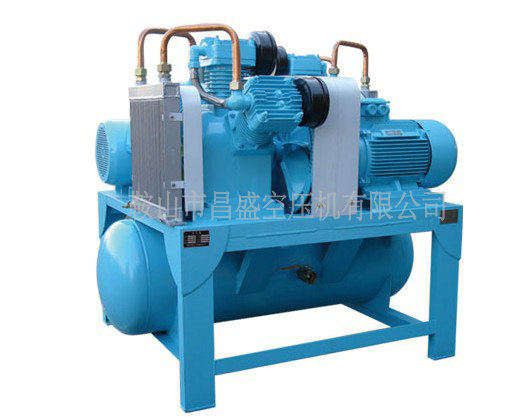 ?空壓機(jī)型號?諸多展現(xiàn)，發(fā)展又該如何